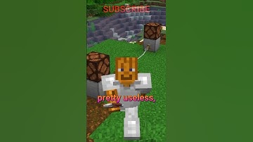 the WEIRDEST mechanic in Minecraft