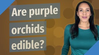 Are purple orchids edible?
