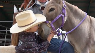 Celebrating the Might Mule at Mule Days by Today's Wild West 824 views 2 weeks ago 5 minutes