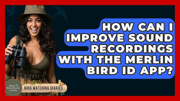 How Can I Improve Sound Recordings With The Merlin Bird ID App? - Bird Watching Diaries