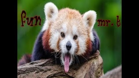 fun // Mr. T (re-recording of DDR XXTREME ESP Chart)