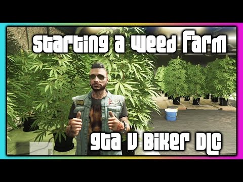 GTA 5 Online :: Biker DLC :: Starting A Weed Farm
