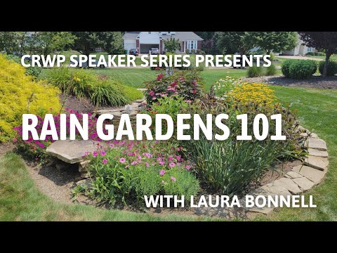 Rain Gardens 101