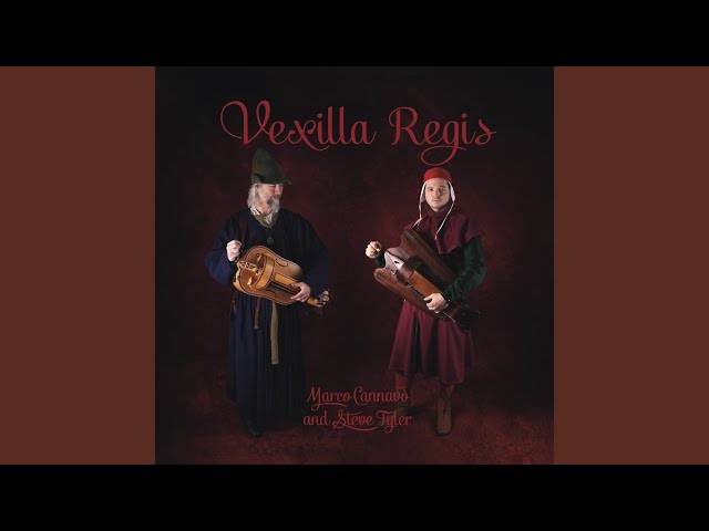 Marco Cannavo, Steve Tyler - Domna, pos vos ay chausida