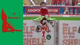 Eevee's Elf Adventures!  ~ Elf on the Shelf ~  ADOPTION CENTER! ~ Get Your Elf on the Shelf Now! ~