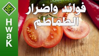 ماذا تعرف عن الطماطم | استعراض لأهم فوائد واضرار الطماطم الطبية