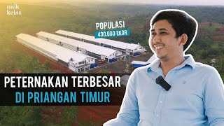 Download Lagu Dari Populasi 2.000 Jadi 400.000 Ekor ! Kini Omzet nya 8 MILIAR perbulan !!! MP3 Download Lagu Dari Populasi 2.000 Jadi 400.000 Ekor ! Kini Omzet nya 8 MILIAR perbulan !!! MP3