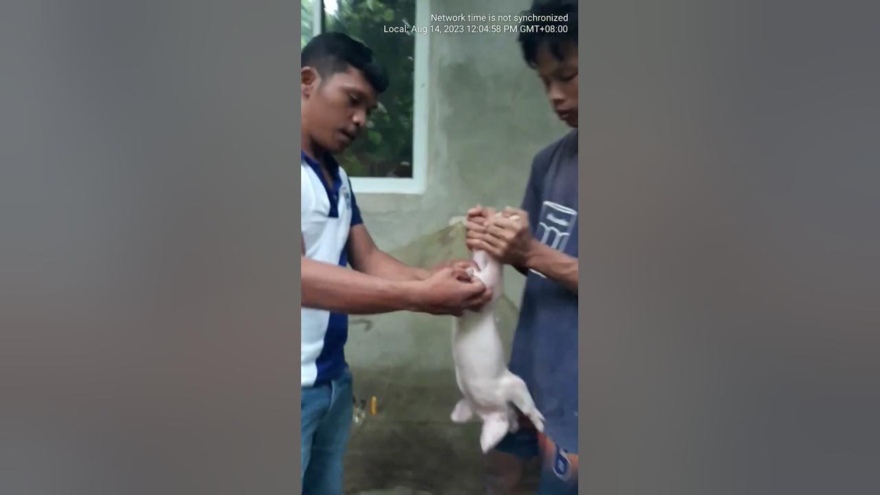 Paano Mag Kapon YouTube paano-mag-kapon-youtube