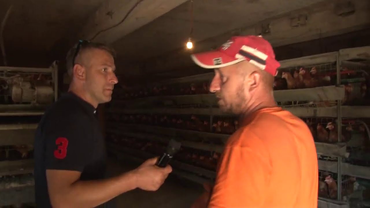 MUJO I NJEGOVIH 6000 KOKA IZ DOBRETIĆA