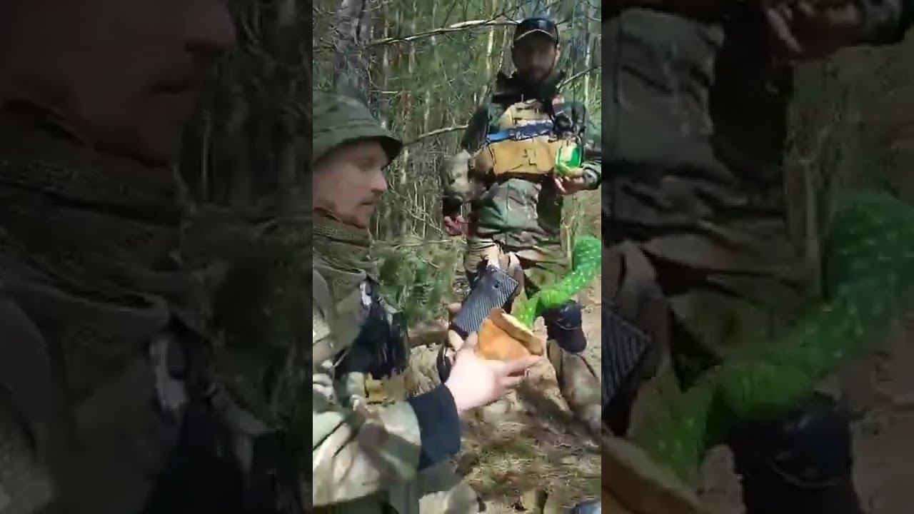 Somehow... A Cactus Thrives in War-Torn Ukraine