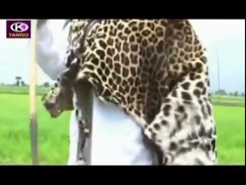 Fayyisaa Furii Geerarsa Oromo Music