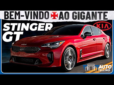 Vídeo: Faca Stinger: descrição, especificações