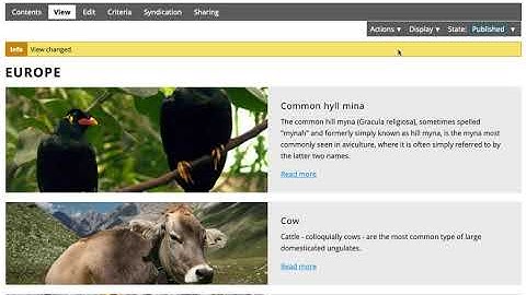Available blocks views for a collection with newsitems - no portlets