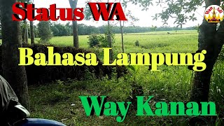 Status WA Bahasa Lampung Way Kanan