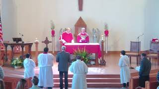 Palm Sunday of the Passion of the Lord (03/29/2026)