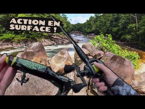 This big WHOPPER PLOPPER attracts all the FISH! Fishing in Guyana the sequel!
