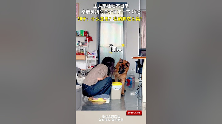 主人想吐吐不出來，拿著狗狗的爪子聞了壹下，秒吐，狗子：什麽意思？我的腳這麽臭？ #cuteanimal #萌寵#寵物 #狗狗