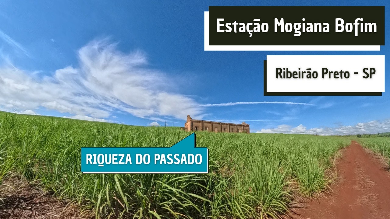 A Estação Abandonada que Enriquecia o Brasil | Império do Café