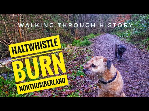 EXPLORING HALTWHISTLE BURN AND LEARNING ABOUT THE HISTORY OF THE AREA.