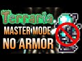 Can you Beat Terraria Without using Armor?