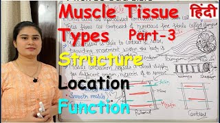 Muscle Tissue in Hindi | Part-3 | Types | Structure | Functions | Location | Human Tissue Lecture