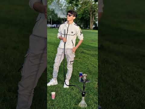 محمد شامان الموالي 919