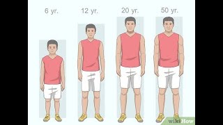 Wolffs Law: Can We Grow Taller After Puberty