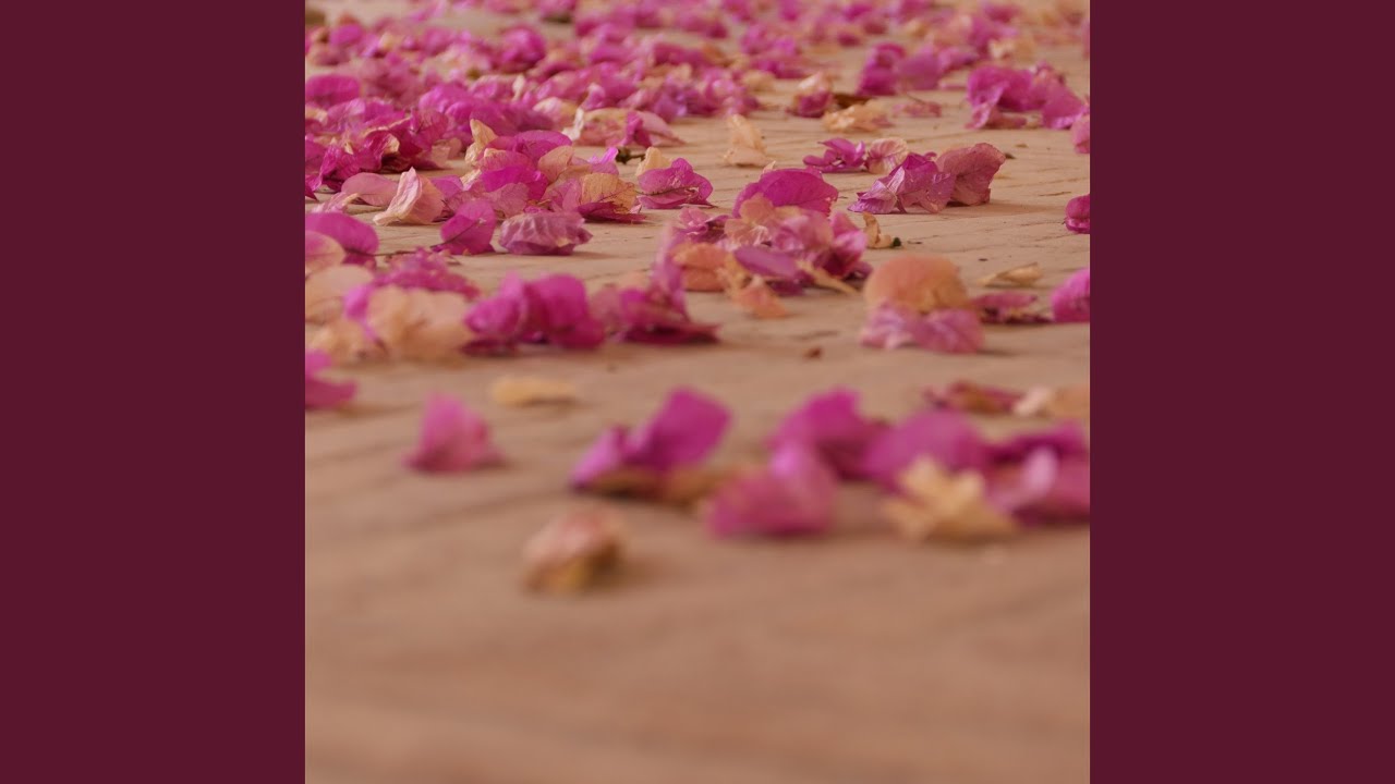 Absorbed adlı videoyu YouTube'da izle Absorbed adlı videoyu YouTube'da izle