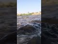 حالات واتس اب ضفاف نهر دجله 
