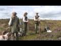 Shooting walked-up grouse