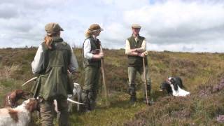 Shooting walkedup grouse