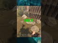 Landmines are not Neighborly | Rust