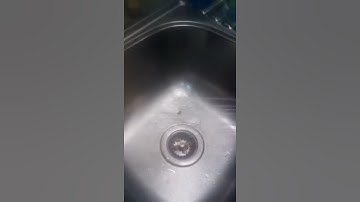 Putting a poor stinkbug through torture