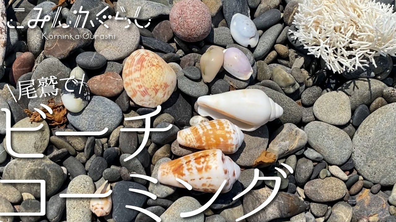 魚の骨　尻尾部分　 3点セット　ビーチコーミング 尾鷲市】ビーチコーミング【宝探し】 - YouTube