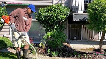 Cắt cỏ sân vườn ở Canada, Chia sẻ lý do phải cắt cỏ 🇨🇦262》 Mow A Lawn Like A Pro