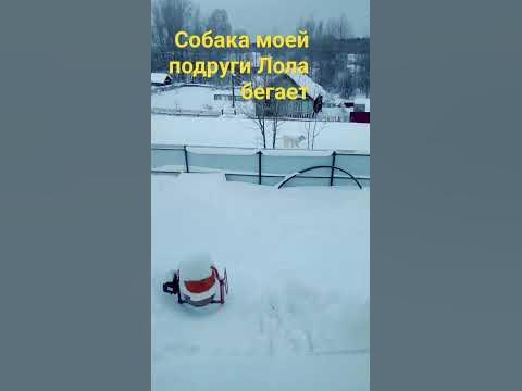 это Лола - YouTube