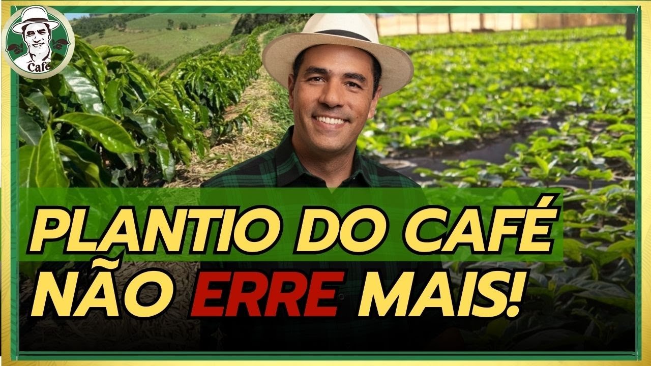 PLANTIO DE CAFÉ NÃO PERDOA ERRO l ÓTIMAS DICAS PARA ACERTAR NESTE MOMENTO TÃO IMPORTANTE