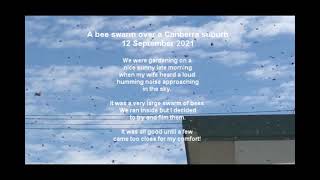 A bee swarm over a Canberra suburb 20 September 2021