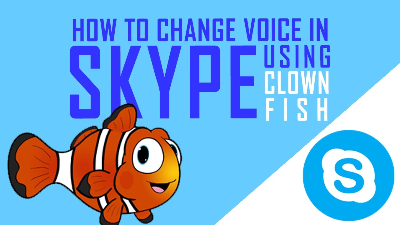 clownfish for skype chip online