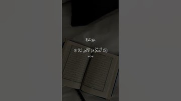 سورة نوح بصوت الشيخ {سعد الغامدي}