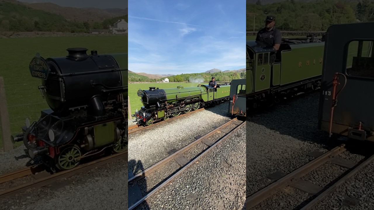 Green Goddess runs round its train 