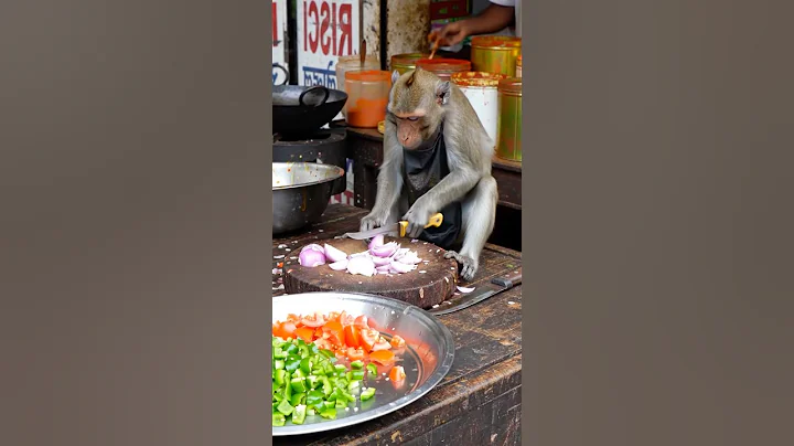 Monkey chef work at India street food 🐒🔥 #shorts #food #monkey