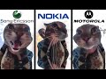 Cat meows into door camera meme but famous phone ringtones 2