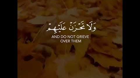 القارئ فارس عباد | ارح سمعك.. تلاوة هادئة تريح القلب والعقل💙🎧