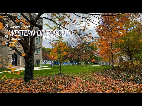 Western University Campus [4K] Walking Tour 2022