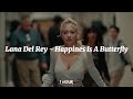 Lana Del Rey Happiness Is A Butterfly 1 Hour Lyrics
