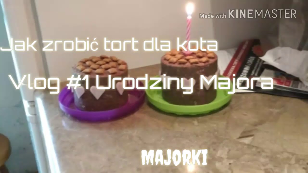 Jak Zrobić Tort Dla Kota Urodzinki Majora Majorki Youtube