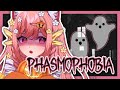 Chat Forced Me Into Phasmophobia | Spoopy Season