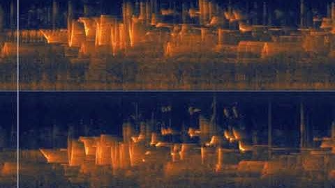 See what birdsong looks like - real-time, stereo spectrogram