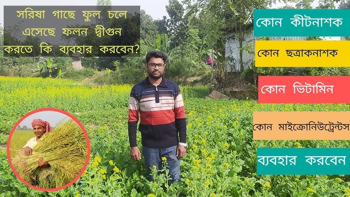 Britney Spears uy qurilishi porno